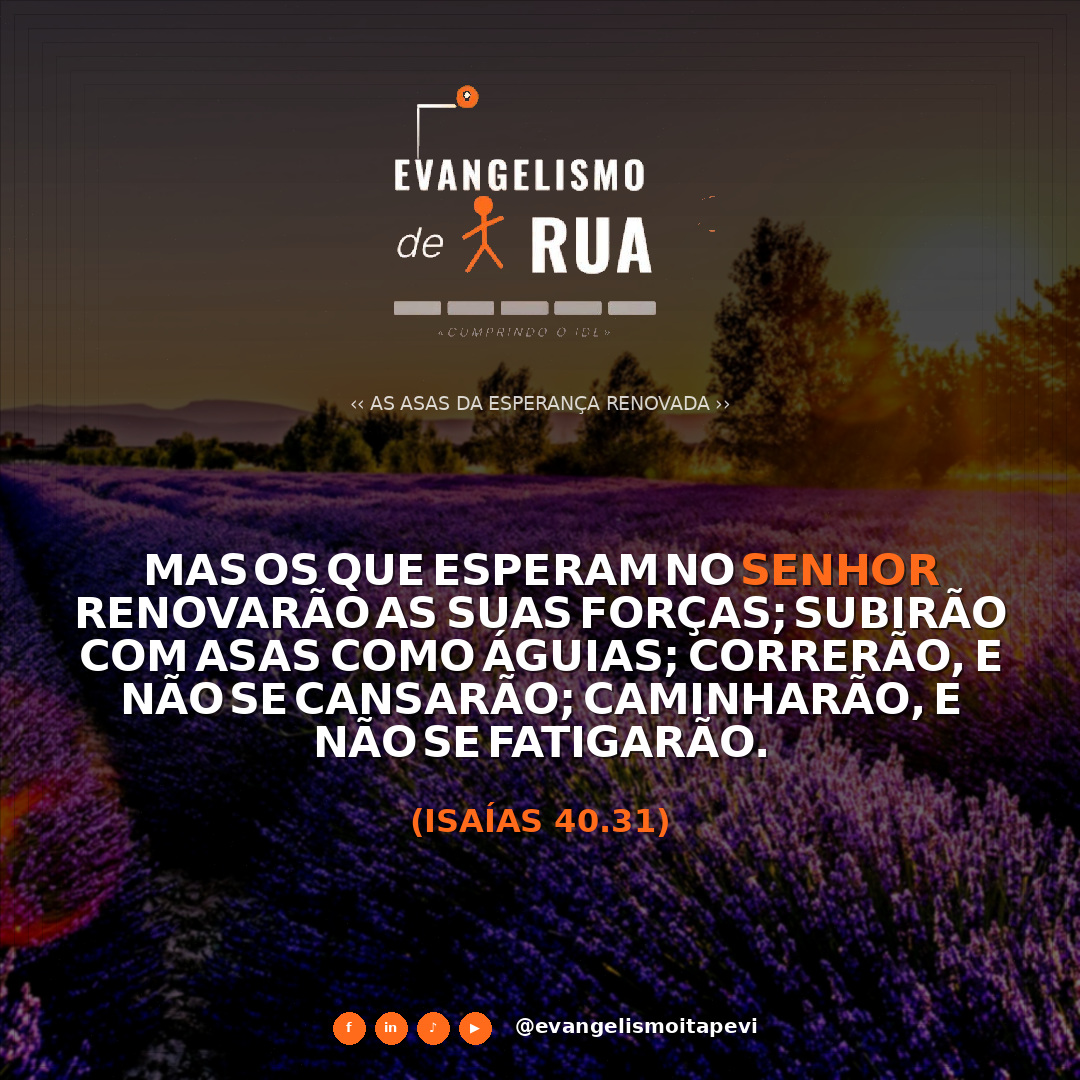 As Asas da Esperança Renovada