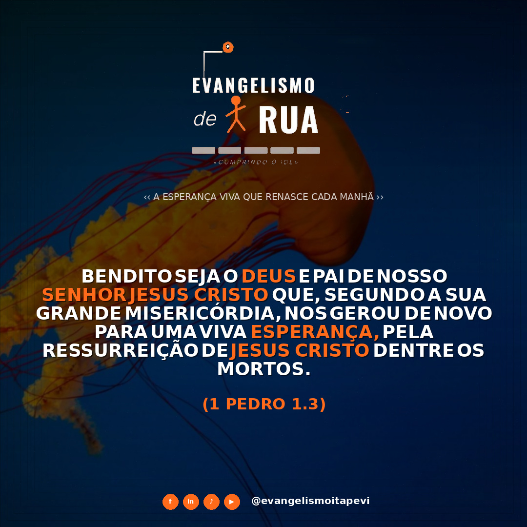 A Esperança Viva Que Renasce Cada Manhã